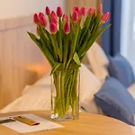 Aparthotel Grand Tatry - Miejsce Na Wyjatkowy Dla Ciebie I Twojej Rodziny! - Sauna I Jacuzzi Wliczone W Cene Pobytu - 10 Minut Pieszo Od Term Bania 3*
