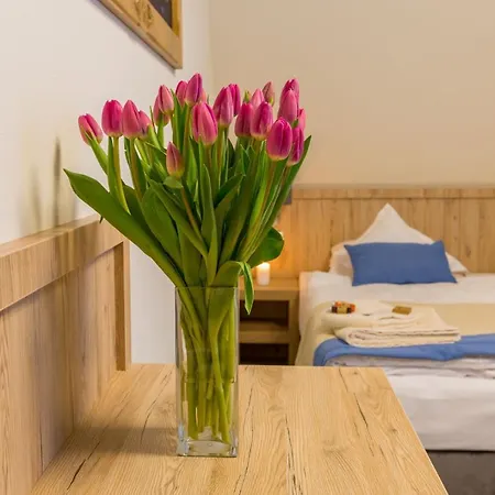 Grand Tatry - Miejsce Na Wyjatkowy Dla Ciebie I Twojej Rodziny! - Sauna I Jacuzzi Wliczone W Cene Pobytu -10 Minut Pieszo Od Term Bania Hotel apartamentowy Białka Tatrzańska