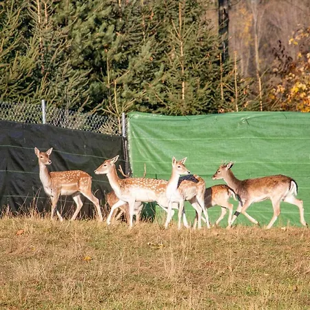 Grand Tatry - Miejsce Na Wyjatkowy Dla Ciebie I Twojej Rodziny! - Sauna I Jacuzzi Wliczone W Cene Pobytu -10 Minut Pieszo Od Term Bania 3* Białka Tatrzańska