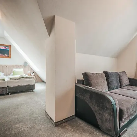 Hotel apartamentowy Grand Tatry - Miejsce Na Wyjatkowy Dla Ciebie I Twojej Rodziny! - Sauna I Jacuzzi Wliczone W Cene Pobytu -10 Minut Pieszo Od Term Bania Białka Tatrzańska